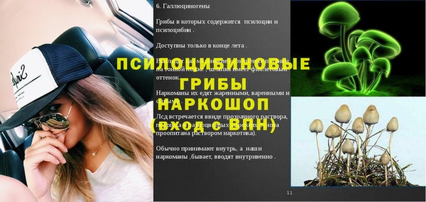 твердый Алексин
