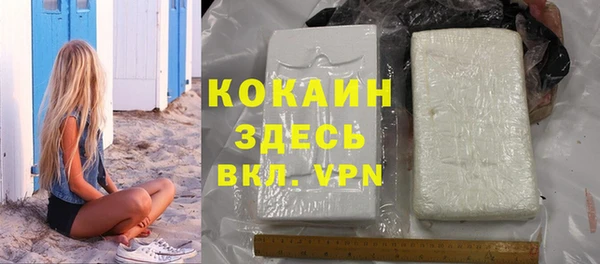 твердый Алексин